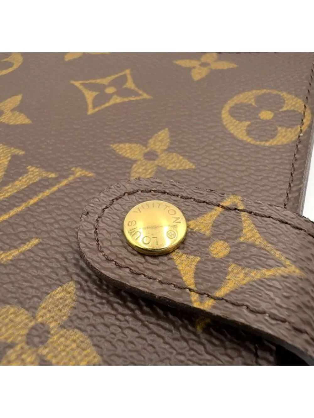 Louis Vuitton brand louis